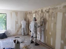 Best Mold Odor Removal Services  in Countryside, IL